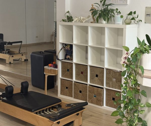 pilates-sierra (10)