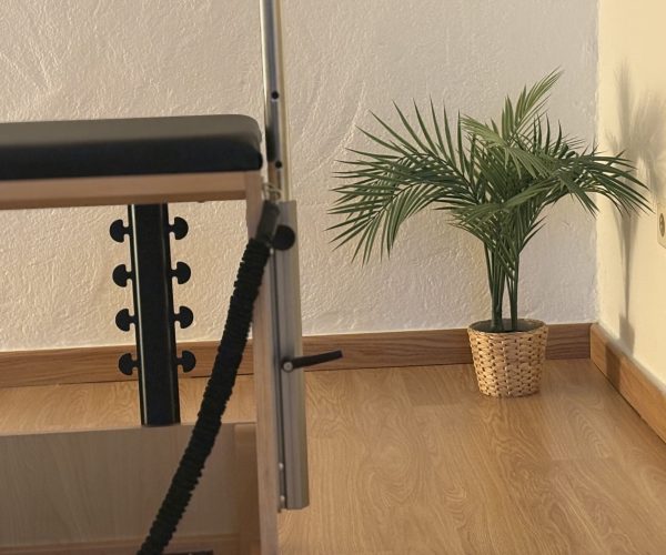 pilates-sierra (13)